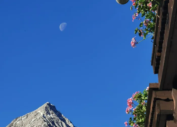 One1-apartments Apartment